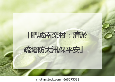 肥城南栾村：清淤疏堵防大汛保平安