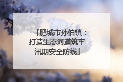 肥城市孙伯镇：打造生态河道筑牢汛期安全防线