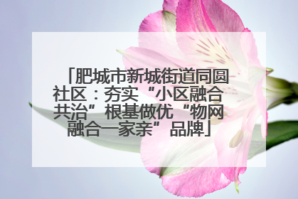 肥城市新城街道同圆社区：夯实“小区融合共治”根基做优“物网融合一家亲”品牌