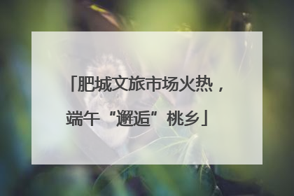 肥城文旅市场火热，端午“邂逅”桃乡