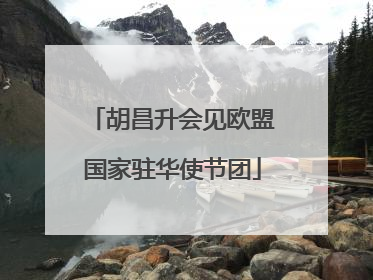 胡昌升会见欧盟国家驻华使节团
