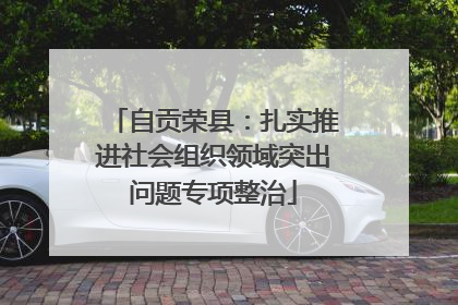 自贡荣县：扎实推进社会组织领域突出问题专项整治