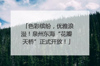 色彩缤纷，优雅浪漫！泉州东海“花瓣天桥”正式开放！