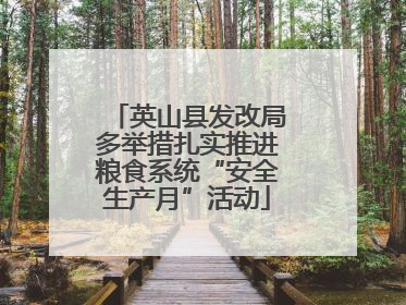 英山县发改局多举措扎实推进粮食系统“安全生产月”活动