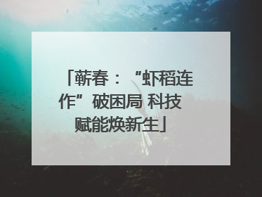 蕲春：“虾稻连作”破困局 科技赋能焕新生