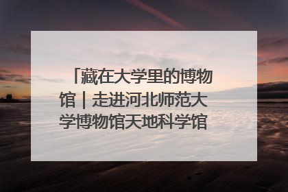 藏在大学里的博物馆｜走进河北师范大学博物馆天地科学馆：在校园里赴一场“宇宙之约”