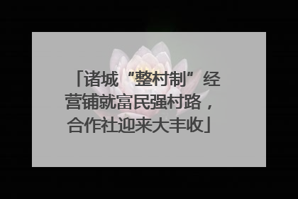 诸城“整村制”经营铺就富民强村路，合作社迎来大丰收