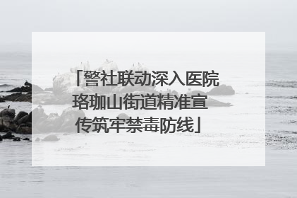 警社联动深入医院 珞珈山街道精准宣传筑牢禁毒防线