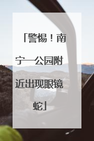 警惕！南宁一公园附近出现眼镜蛇
