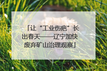 让“工业伤疤”长出春天——辽宁加快废弃矿山治理观察