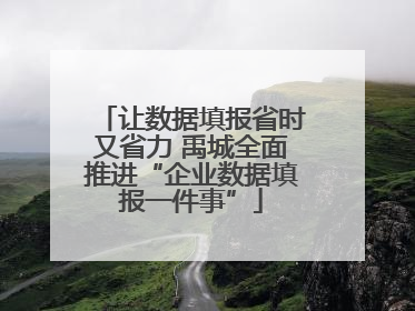 让数据填报省时又省力 禹城全面推进“企业数据填报一件事”