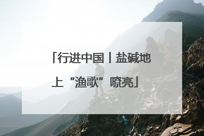 行进中国丨盐碱地上“渔歌”嘹亮