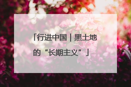行进中国｜黑土地的“长期主义”