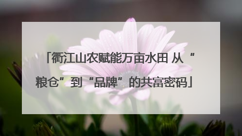 衢江山农赋能万亩水田 从“粮仓”到“品牌”的共富密码