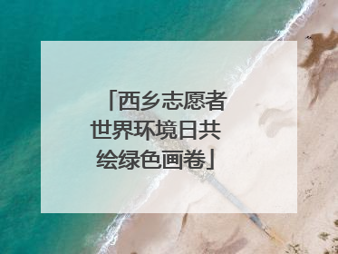 西乡志愿者世界环境日共绘绿色画卷
