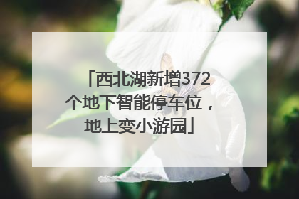 西北湖新增372个地下智能停车位，地上变小游园