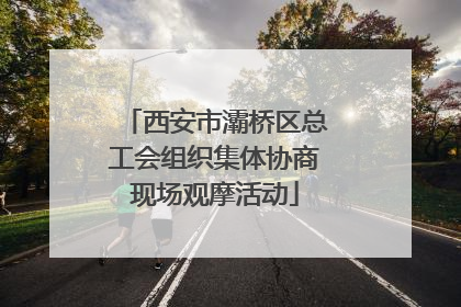 西安市灞桥区总工会组织集体协商现场观摩活动