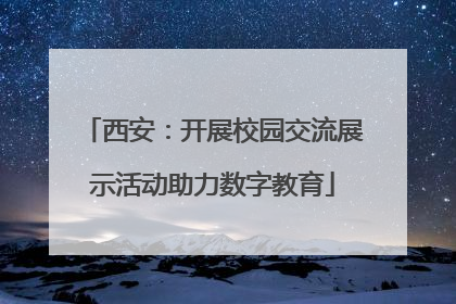 西安：开展校园交流展示活动助力数字教育