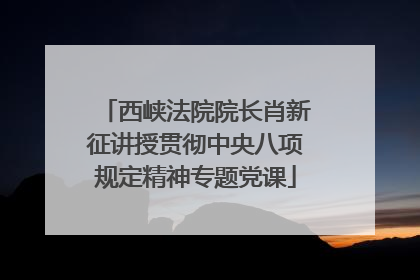 西峡法院院长肖新征讲授贯彻中央八项规定精神专题党课