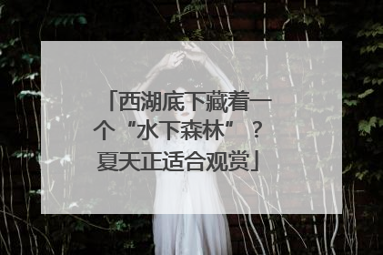 西湖底下藏着一个“水下森林”？夏天正适合观赏