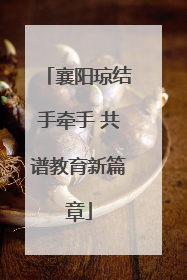 襄阳琼结手牵手 共谱教育新篇章