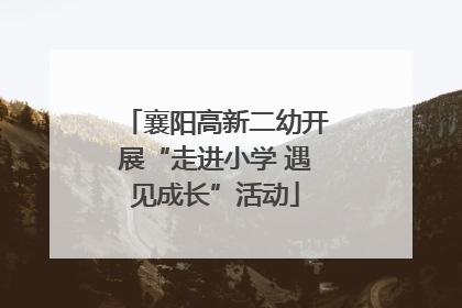 襄阳高新二幼开展“走进小学 遇见成长”活动