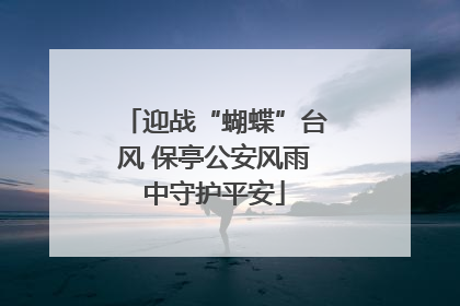 迎战“蝴蝶”台风 保亭公安风雨中守护平安