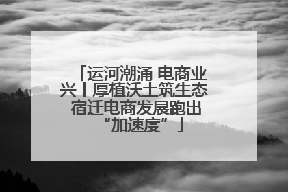 运河潮涌 电商业兴丨厚植沃土筑生态 宿迁电商发展跑出“加速度”