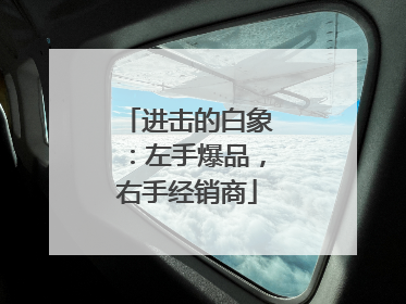 进击的白象：左手爆品，右手经销商
