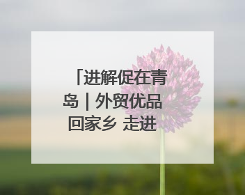 进解促在青岛｜外贸优品回家乡 走进百年上街里