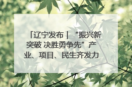辽宁发布｜“振兴新突破 决胜勇争先”产业、项目、民生齐发力 葫芦岛按下决胜之年“加速键”