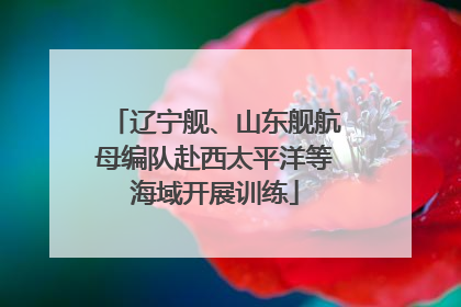 辽宁舰、山东舰航母编队赴西太平洋等海域开展训练