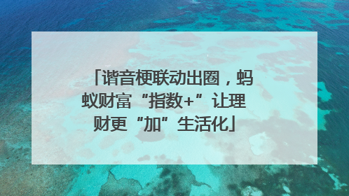 谐音梗联动出圈，蚂蚁财富“指数+”让理财更“加”生活化