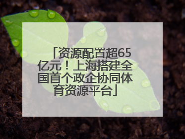 资源配置超65亿元！上海搭建全国首个政企协同体育资源平台