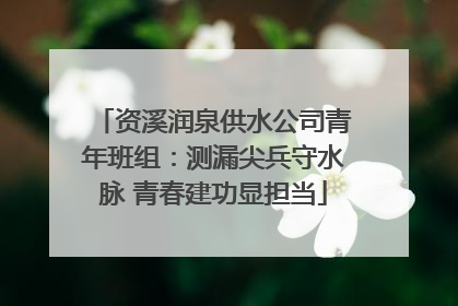 资溪润泉供水公司青年班组：测漏尖兵守水脉 青春建功显担当