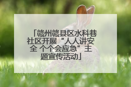 赣州赣县区水科巷社区开展“人人讲安全 个个会应急”主题宣传活动
