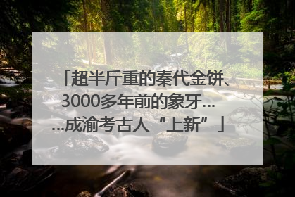 超半斤重的秦代金饼、3000多年前的象牙……成渝考古人“上新”