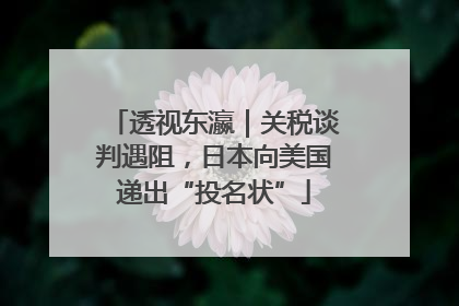 透视东瀛｜关税谈判遇阻，日本向美国递出“投名状”