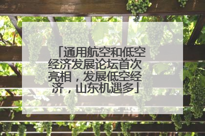 通用航空和低空经济发展论坛首次亮相，发展低空经济，山东机遇多