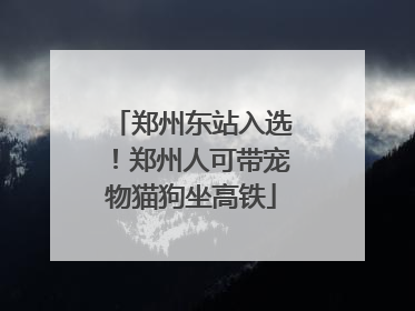 郑州东站入选！郑州人可带宠物猫狗坐高铁