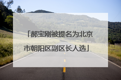 郝宝刚被提名为北京市朝阳区副区长人选