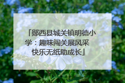 郧西县城关镇明德小学：趣味闯关展风采 快乐无纸助成长