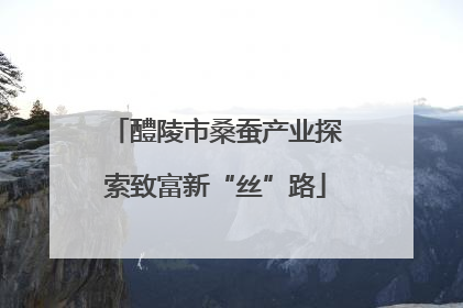 醴陵市桑蚕产业探索致富新“丝”路