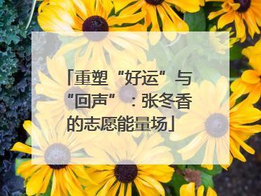 重塑“好运”与“回声”：张冬香的志愿能量场