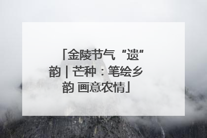 金陵节气“遗”韵｜芒种：笔绘乡韵 画意农情