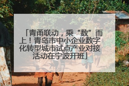 青甬联动，乘“数”而上！青岛市中小企业数字化转型城市试点产业对接活动在宁波开班