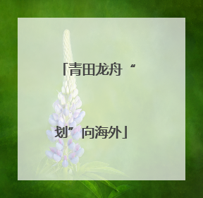青田龙舟“划”向海外