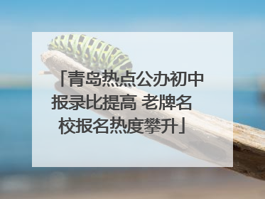 青岛热点公办初中报录比提高 老牌名校报名热度攀升