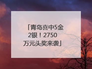 青岛喜中5金2银！2750万元头奖来袭