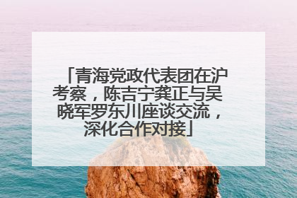 青海党政代表团在沪考察，陈吉宁龚正与吴晓军罗东川座谈交流，深化合作对接